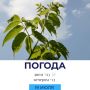 Погода на сегодня