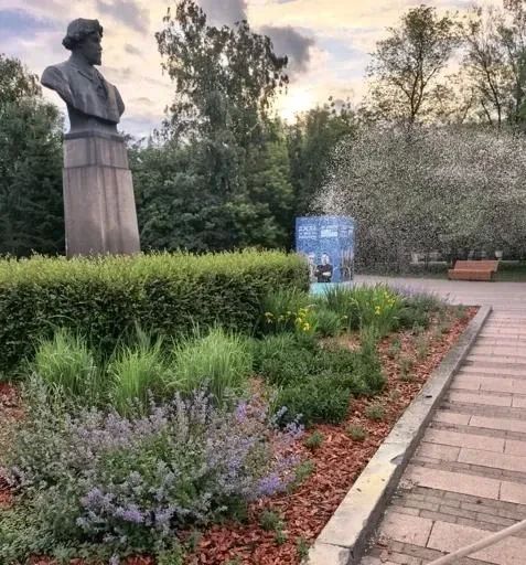 Более 500 растений высадили в трех скверах Красноярска Более 500 растений высадили в трех скверах Красноярска