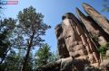 Змея укусила туриста на «Красноярских столбах»