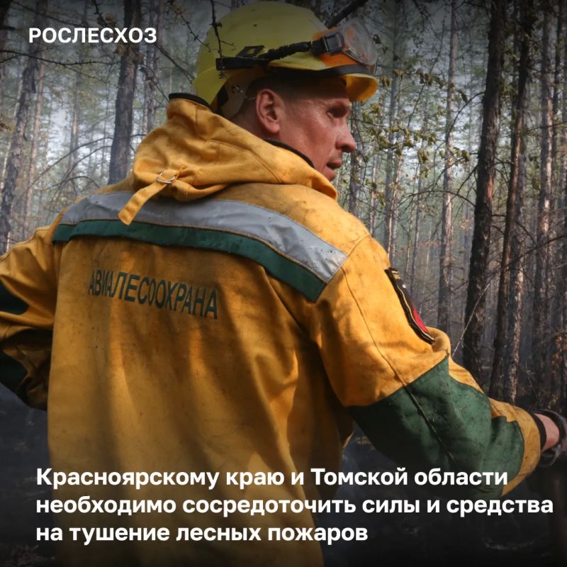 На 11:00 в Красноярском крае осуществлялись работы по тушению 84 лесных пожаров на площади 77,6 тыс