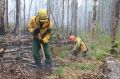 Площадь лесных пожаров в Красноярском крае увеличилась до 77,8 тысячи га
