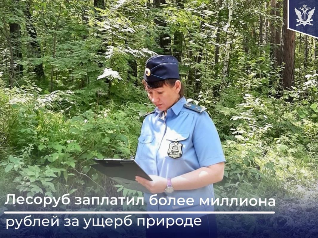 Красноярские судебные приставы взыскали с местного жителя более миллиона рублей ущерба, нанесенного лесному фонду