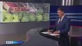 Красноярский край накрыла «арбузная волна»: за последний год поставки бахчевых в регион выросли в 2,5 раза