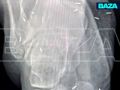 � ���� ���������� ����� ������ 10 �������� ��� ����� ������ �����������