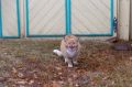 � ����������� ������ ����������� ��������� ���� ��������� �� ��������� � ����� ����������� ����� ����� ������ ���� �� ����� ���������, 2