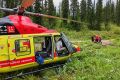 На Кузбассе медведица растерзала 50-летнего рыбака