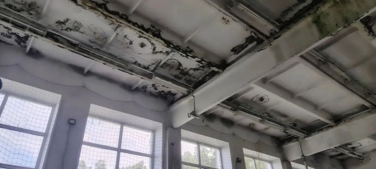 Дождь не сорвал линейку: прокуратура помогла школе в Ермаковском округе открыться 1 сентября Дождь не сорвал линейку: прокуратура помогла школе в Ермаковском округе открыться 1 сентября