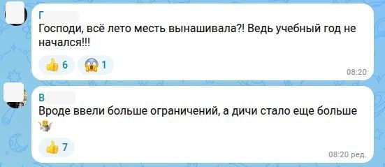 Нападение ученицы в школе Канска: «Там всё серьёзней» Нападение ученицы в школе Канска: «Там всё серьёзней»