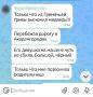 В Октябрьском районе Красноярска медведь выбежал из Гремячей Гривы в сторону Академгородка