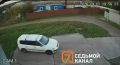 Под Красноярском мужчина до смерти забил камнями хаски за утащенного гуся