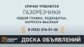 «7 канал Красноярск»: На сайте | ВКонтакте | Дзен | Одноклассники
