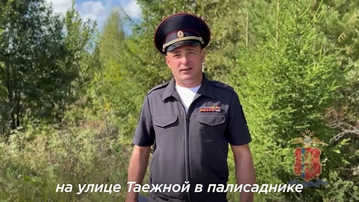 Полицейский застрелил медведя в палисаднике в селе Пировское