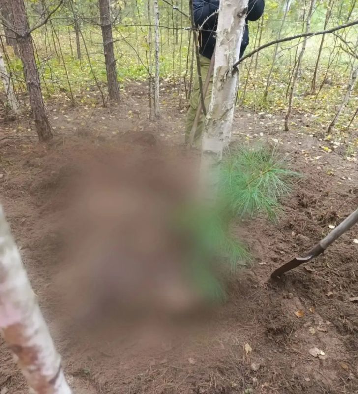 В тайге Красноярского края медведь убил двух пенсионерок-грибников