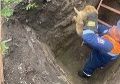 � ��������� ��������� �������� �� ��������� ���� �����