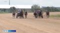 В Емельянове пройдут состязания сельских конников