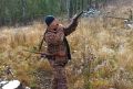В Красноярском крае посчитают маралов по рёву