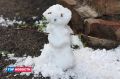 7-8 сентября в центральных и южных округах Красноярского края в воздухе и на поверхности почвы местами сохранятся заморозки до -5 градусов, сообщает Среднесибирское УГМС