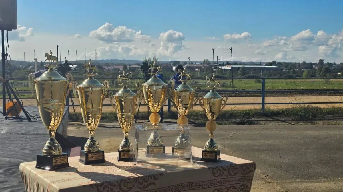 В Емельяново завершились XXVI Краевые соревнования сельских конников! В Емельяново завершились XXVI Краевые соревнования сельских конников!