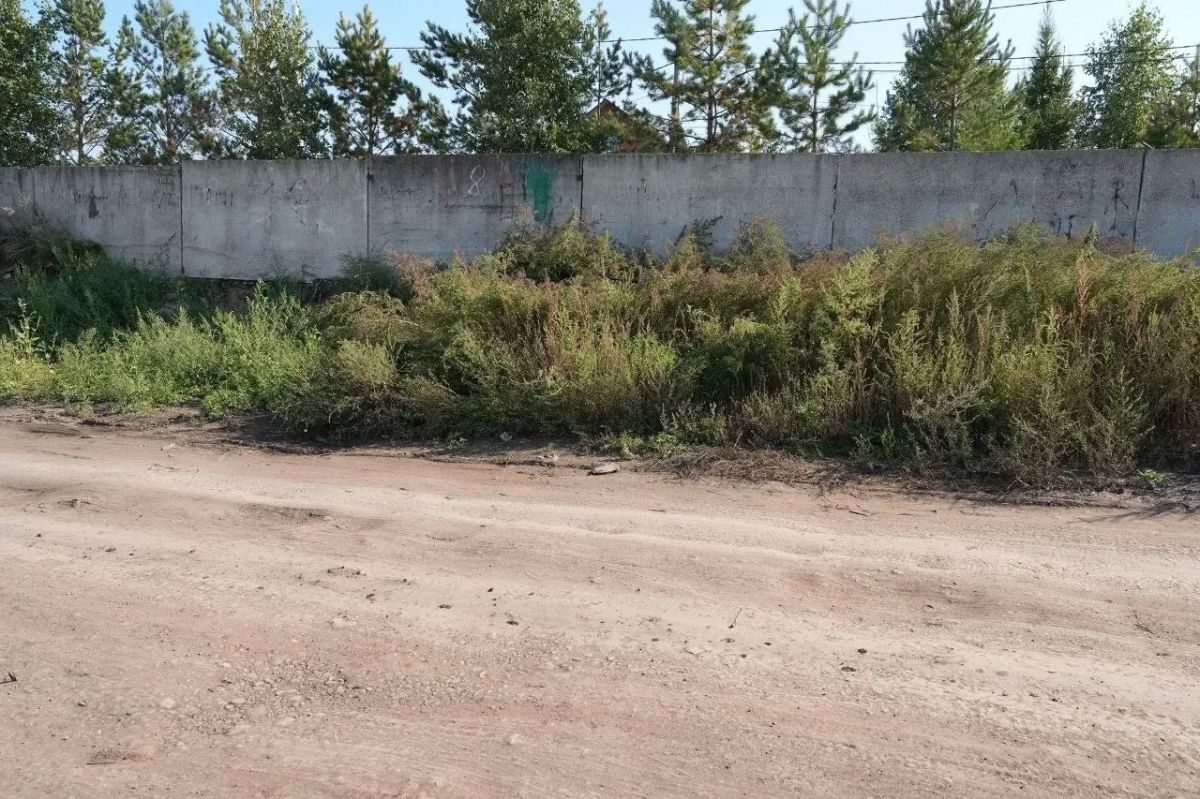 Глава Красноярска показал новые дороги в Солонцах Глава Красноярска показал новые дороги в Солонцах