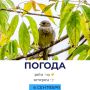 ������ �������. @gornovosti ����������� � �� | ����������� � ���