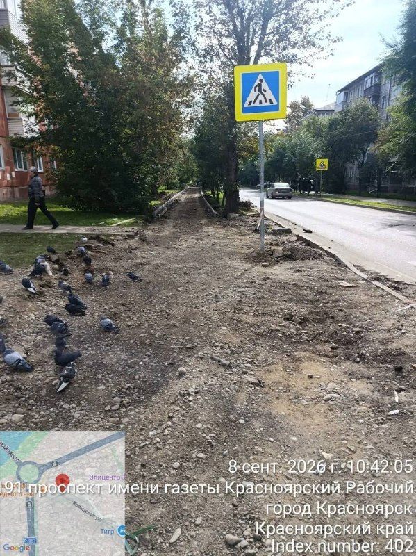 В красноярских школах Отряды юных инспекторов движения проводят уроки безопасности В красноярских школах Отряды юных инспекторов движения проводят уроки безопасности