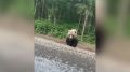 ����� �������, ������������� ������� ������ � �������� ���������, ���� ������������� ������ ������ ��� ������� � �������� ��������� � ������