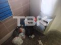 �����, ��� ���������: ������ ���� �33 �� 9 ��� �������� ������� ������������
