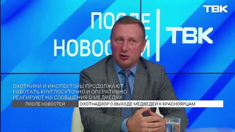 Эксперт Минприроды края Николай Мальцев рассказал в эфире ТВК о результатах работы по регулированию численности бурого медведя в регионе и еще раз напомнил жителям о алгоритме действий при встрече с хищником