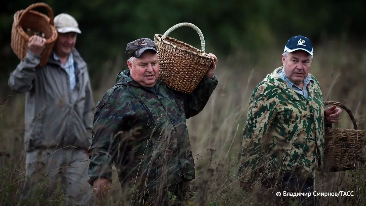 Туристам и грибникам рекомендовали не ходить в место пропажи Усольцевых в Кутурчинском Белогорье Красноярского края из-за частых выходов медведей, сообщили ТАСС в администрации Минского сельсовета региона Наталья Бондарь