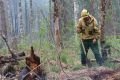 По оперативной информации на утро 10 сентября, в крае действуют 5 лесных пожаров