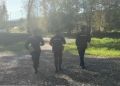 Стало известно о результатах поиска медведя на острове Татышев в Красноярске