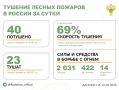 За прошедшие сутки в 16 регионах России потушили 40 лесных пожара