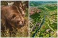 Кусают и убивают. Эксперт Беленюк раскрыл, почему медведей стало много
