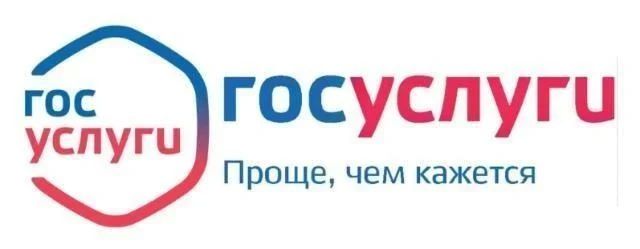 Три массовые социально-значимые услуги, которые можно получить через ЕПГУ