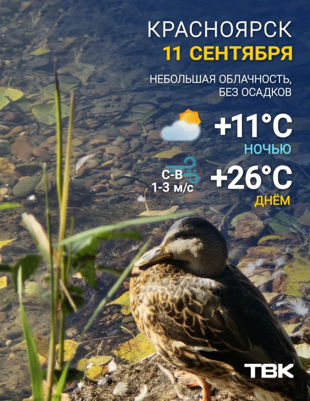 Погода на сегодня