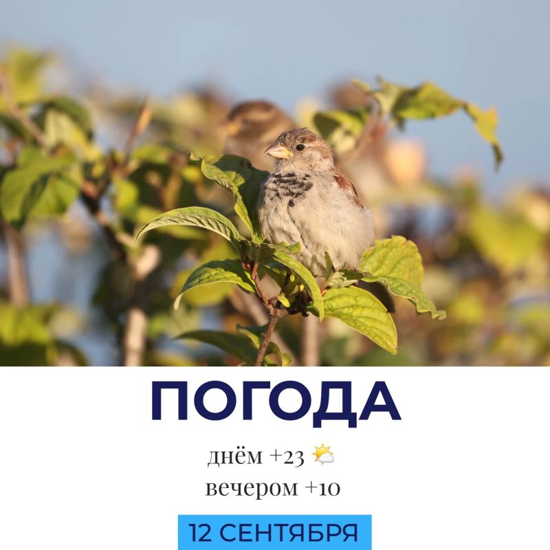 Погода сегодня