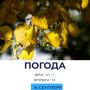 ������ �������. @gornovosti ����������� � �� | ����������� � ���