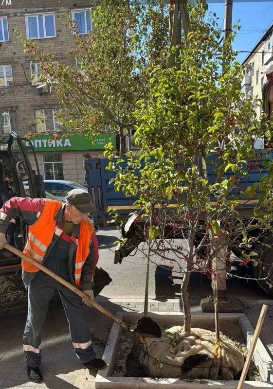 Улица Сурикова стала зеленее! Улица Сурикова стала зеленее!