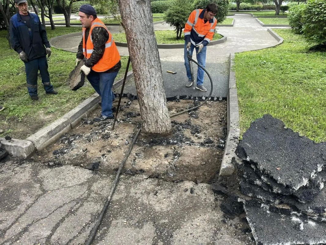 В сквере Космонавтов сместили пешеходную дорожку и сохранили дерево В сквере Космонавтов сместили пешеходную дорожку и сохранили дерево