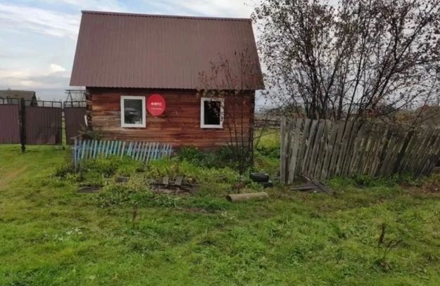 Вытащил из окна? Медведь убил одинокую пенсионерку во дворе её дома