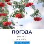 Погода сегодня