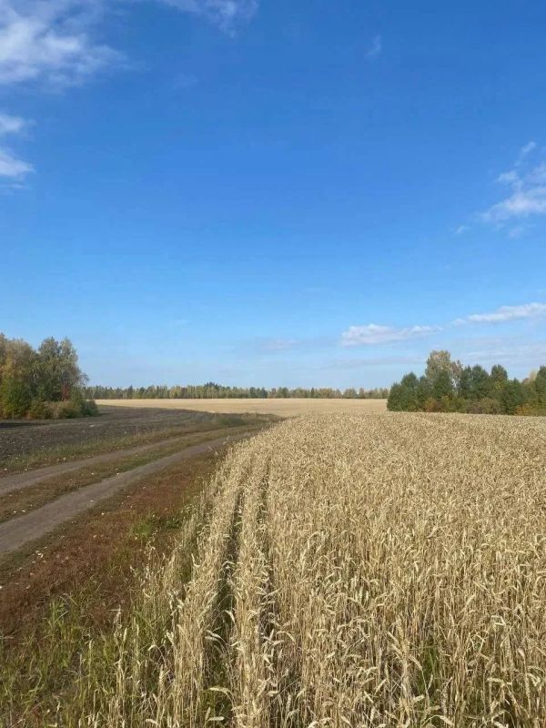 Аграрии Абанского округа продолжают уборочную кампанию Аграрии Абанского округа продолжают уборочную кампанию