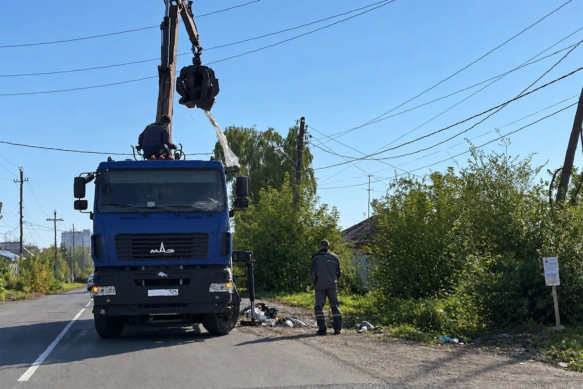 Красноярцы всё активнее используют электронные сервисы, чтобы сообщать о городских проблемах
