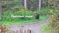 «Такого нет, что люди на выборы не идут»