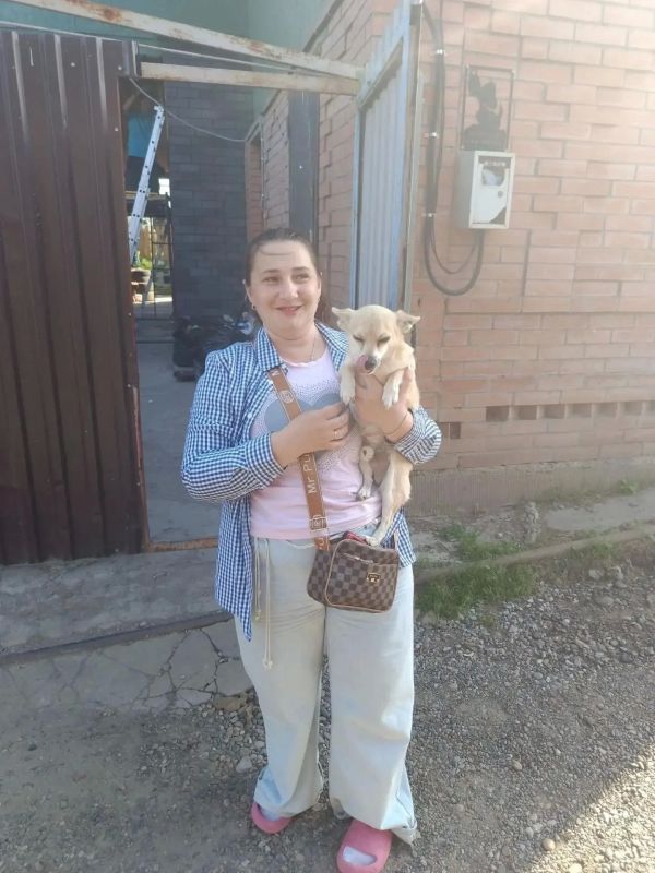 Благодаря полицейским любимец семьи снова дома: в Красноярске стражи порядка вернули хозяйке пропавшую собаку