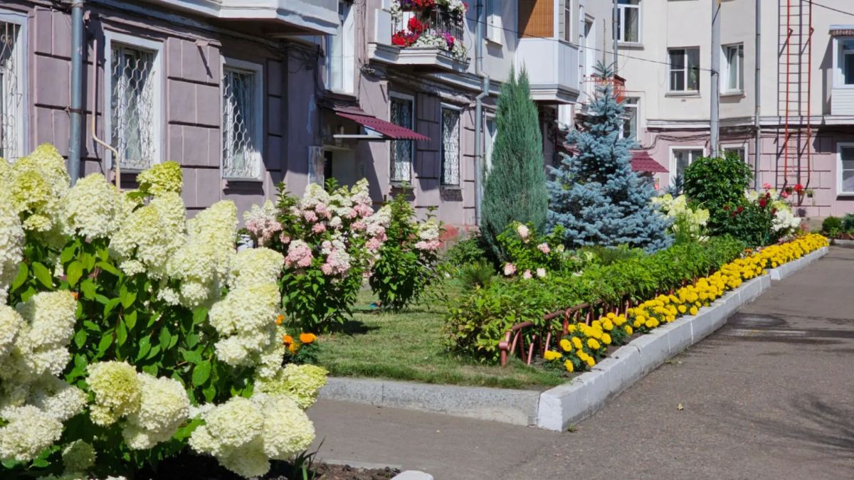 Знакомьтесь - Елена Олеговна Знакомьтесь - Елена Олеговна