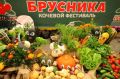 XI Кочевой фестиваль «Брусника» прошёл в Северо-Енисейском округе