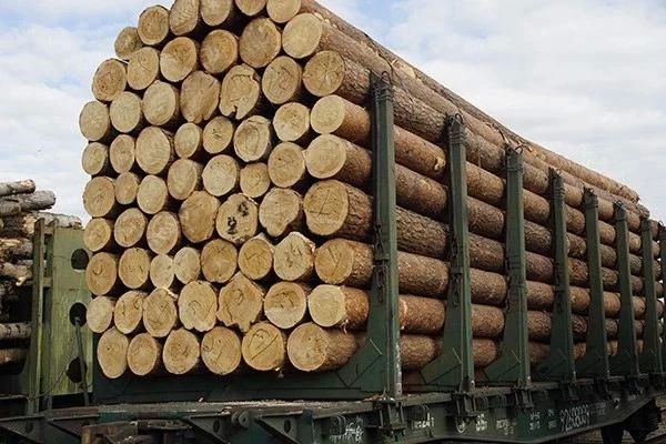 День работников леса и лесоперерабатывающей промышленности отмечают сотрудники и ветераны УИС, чья деятельность неразрывно связана с лесопромышленным комплексом День работников леса и лесоперерабатывающей промышленности отмечают сотрудники и ветераны УИС, чья деятельность неразрывно связана с лесопромышленным комплексом