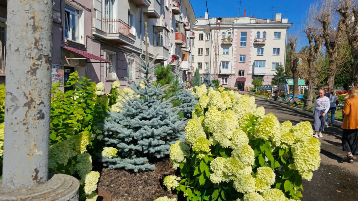 Знакомьтесь - Елена Олеговна Знакомьтесь - Елена Олеговна