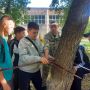Лес — это не только деревья, это целая жизнь!